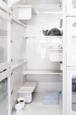 Premier Cat Hotel Tokyo