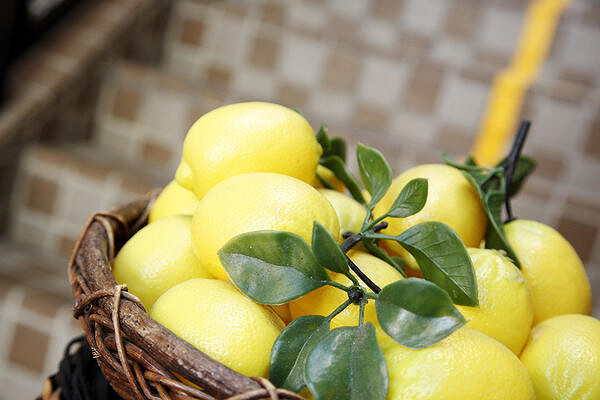 Casual Italian Tooooo Lemon（トゥーレモン）