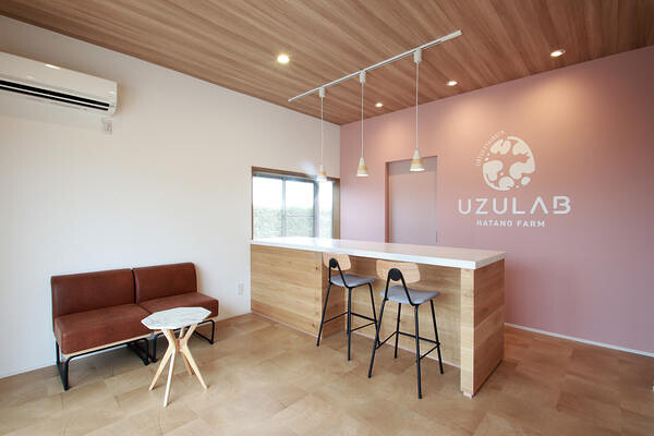 UZULAB