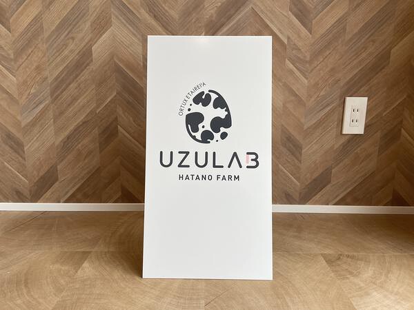 UZULAB