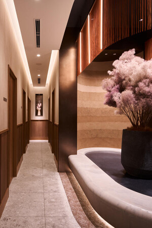 design beauty clinic 東京銀座院