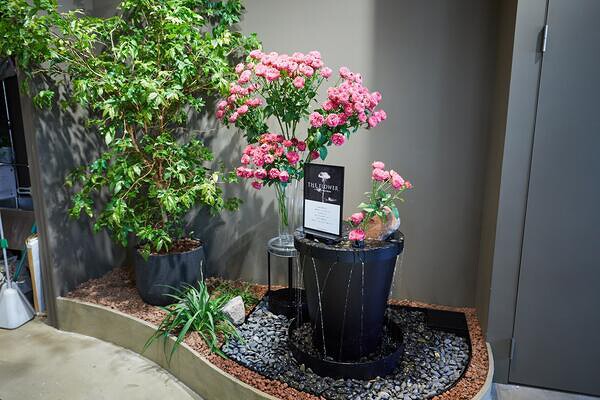 Aoyama Flower Market 南青山本店