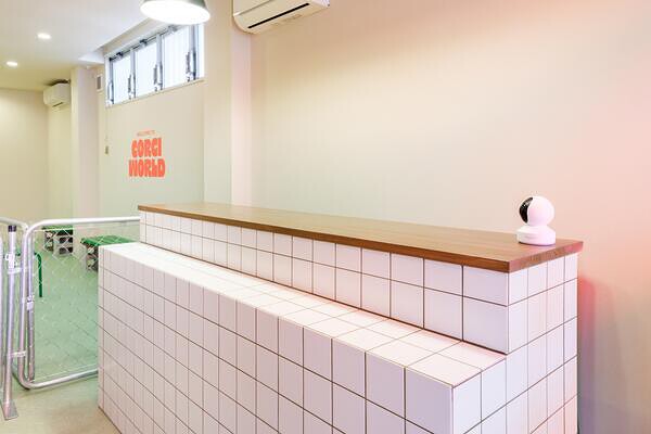 コーギーワールド2号店