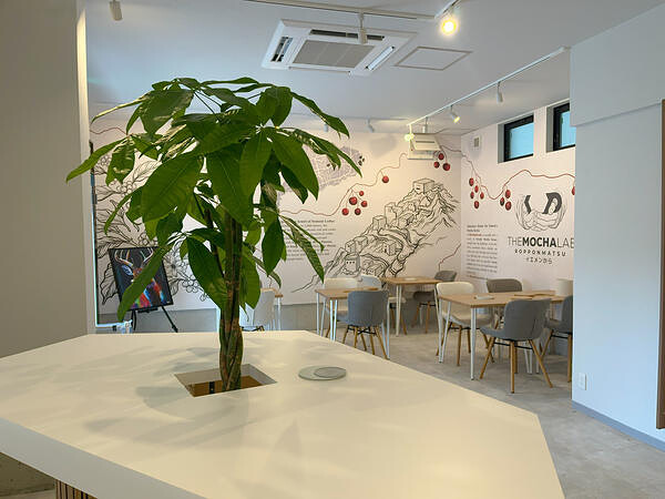 The Mocha Lab