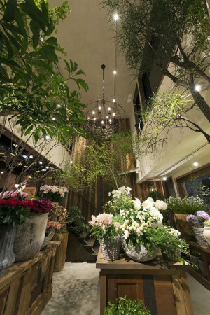 Fleur Universelle/Les Grands Arbres