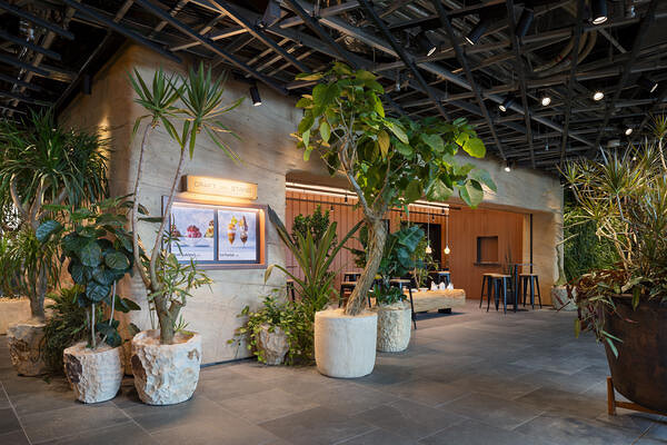 LUFTBAUM　28F　パート２