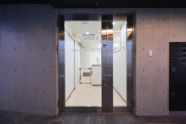 dog salonまーとる