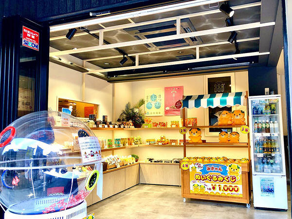 GOOD CACAO 33.8℃