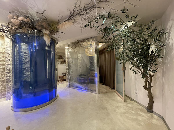 mindfulness consulting