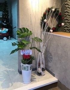 インターナショナルスクール