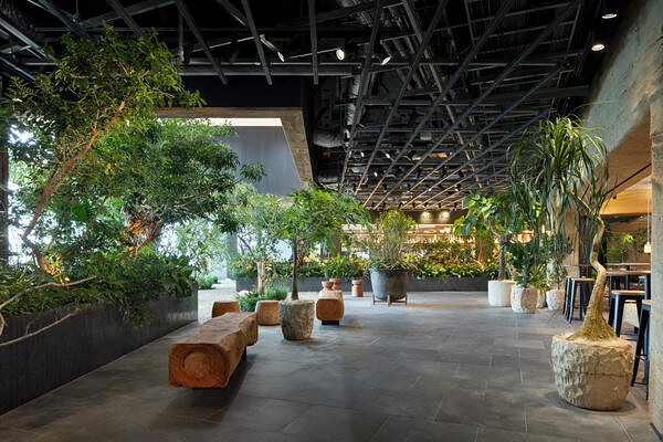 LUFTBAUM　28F パート１