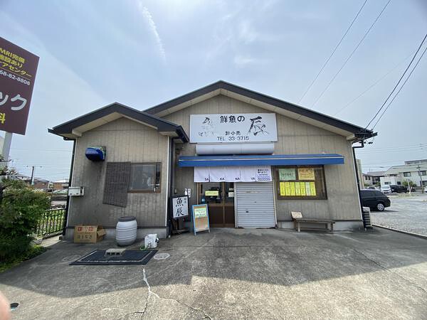 魚辰