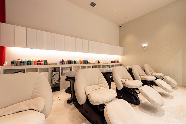 FEERIE AVEDA ARIAKE