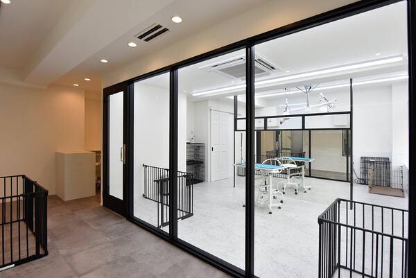 dog salon FACET