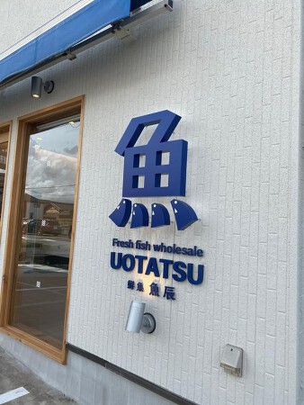 魚辰