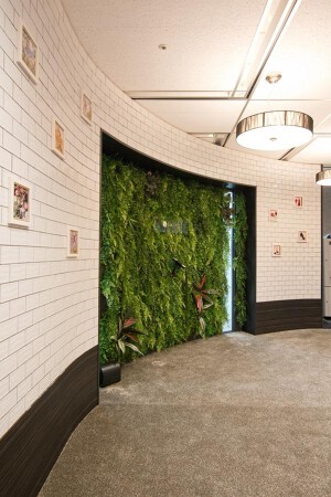 EXPERT OFFICE
