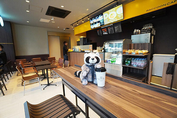 Raccoon Cafe 宝町店