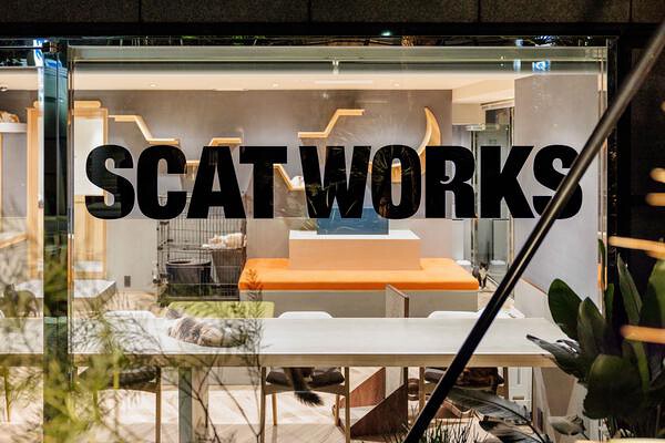 SCAT WORKS