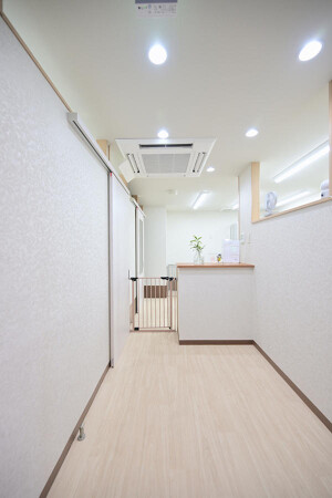 dog salonまーとる