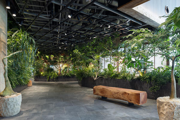 LUFTBAUM　28F パート１