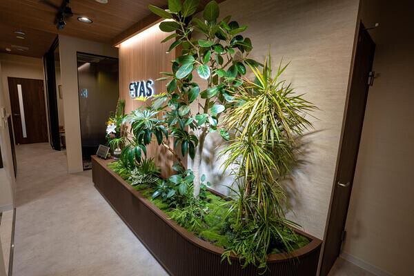 アイアス税理士法人様