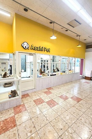 アサヒペット都築店
