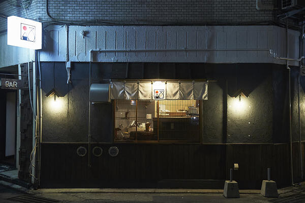 三九酒場 けごむす