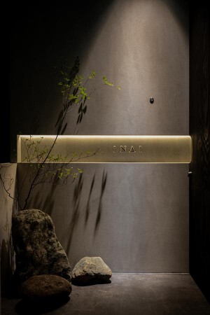 INAI