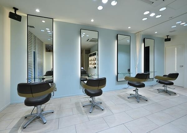 Organic hair Salon by EQ