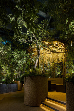 LUFTBAUM　28F　パート4