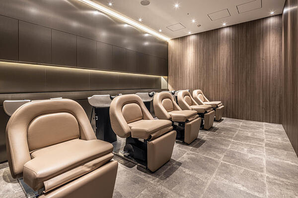 SALOWIN Ginza share