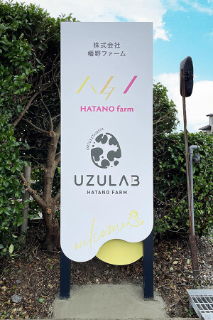 UZULAB